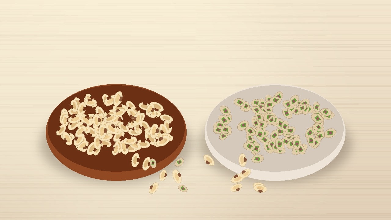 A side-by-side presentation of golden hot-air dry-roasted cashews in a dark oak bowl on the left and crisp in-shell roasted pistachios in a cream ceramic bowl on the right, arranged on a warm wooden tabletop.