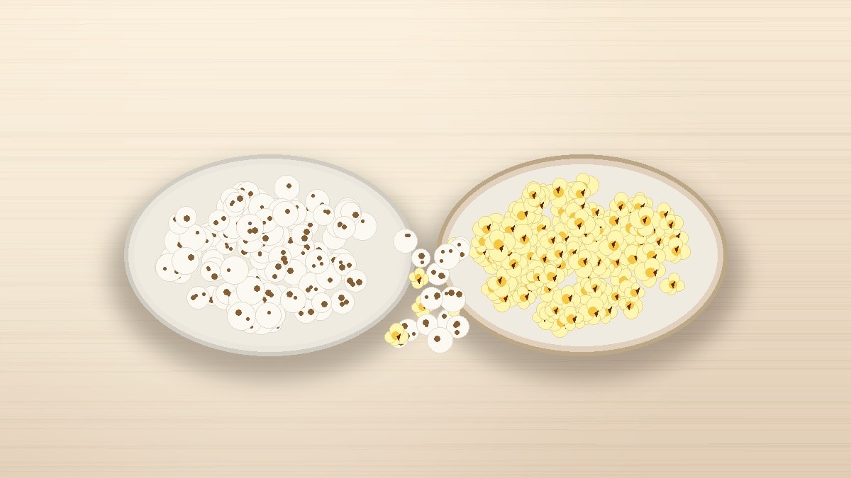A comparative side-by-side presentation of crisp white hot-air roasted makhana in a cream ceramic bowl on the left and golden popped corn in a rustic bowl on the right, set on a warm wooden tabletop.