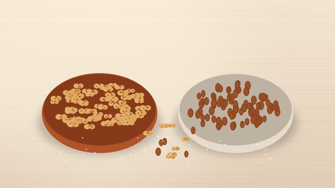 A rustic terracotta bowl of golden dry-roasted peanuts on the left and a cream ceramic bowl of roasted California almonds on the right, arranged on a warm wooden tabletop with sea salt.