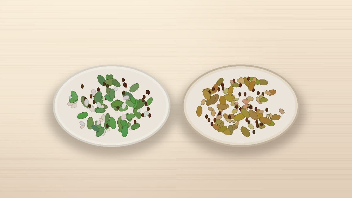 Comparative display of raw vs hot-air dry roasted pumpkin, sunflower, and flax seeds in ceramic bowls on a natural wooden table